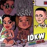 idkw - rvssian, shenseea, swae lee, young thug