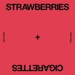 strawberries & cigarettes - troye sivan