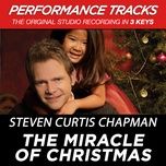 the miracle of christmas (all i really want album version) - steven curtis chapman