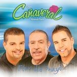 mistico (album version) - grupo canaveral de humberto pabon, big metra, abc