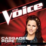 stupid boy (the voice performance) - cassadee pope