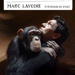 je compte les jours - marc lavoine