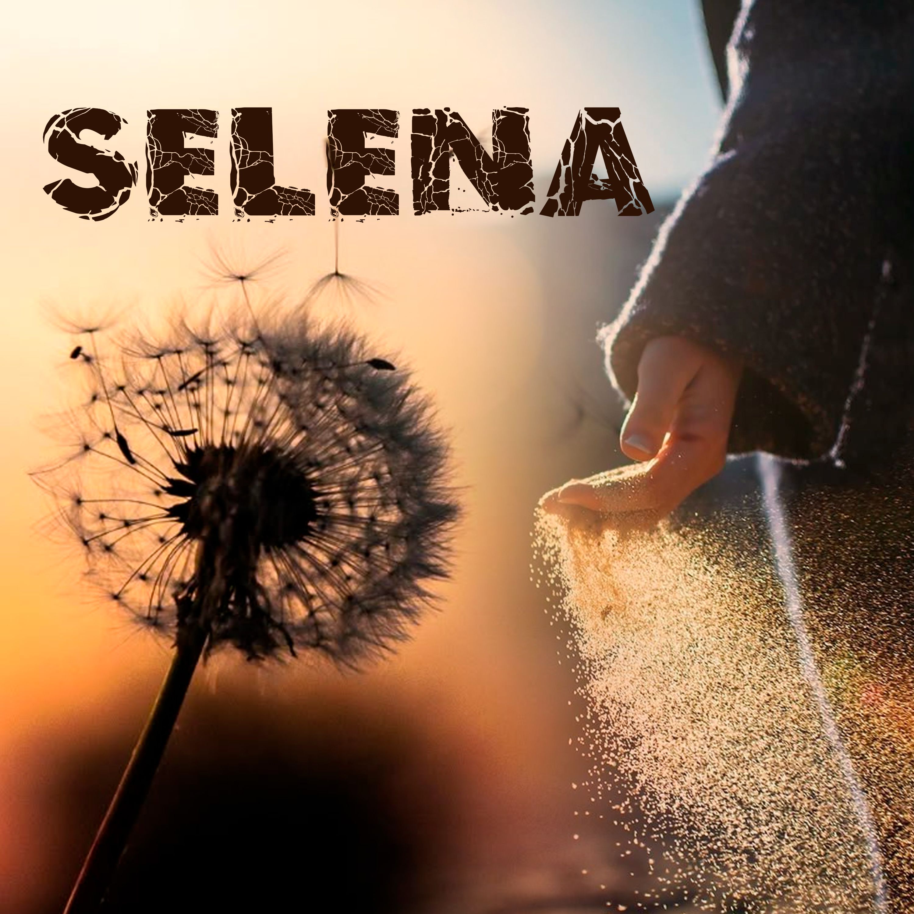 energy field harmonizer (acoustic) - selena