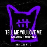 tell me you love me (ari remix) - galantis, throttle