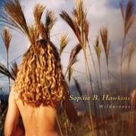 beautiful girl - sophie b hawkins