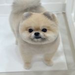 my love tan - acoustic guitar (remix) (prod.jb,김세인) - jb