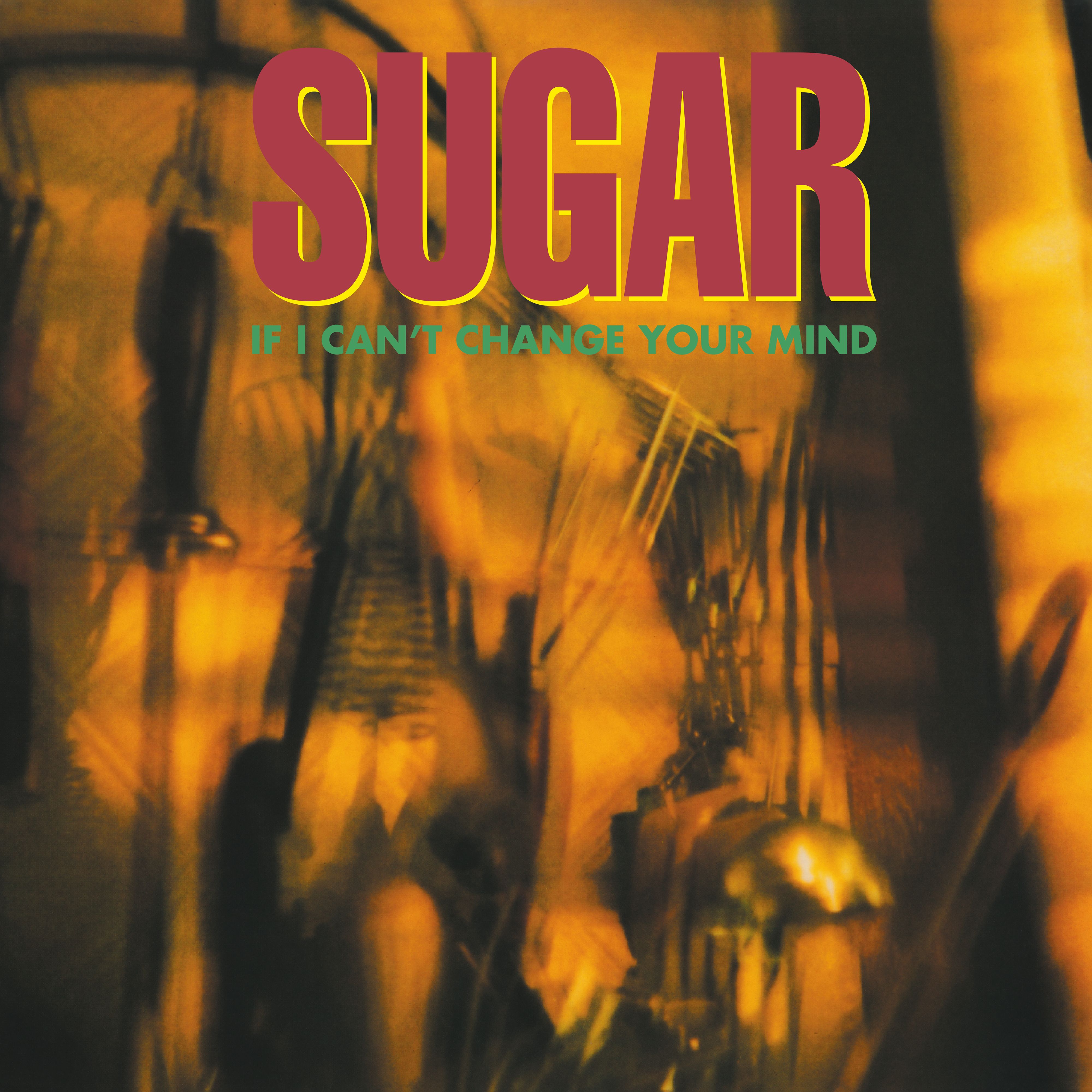if i can't change your mind - sugar