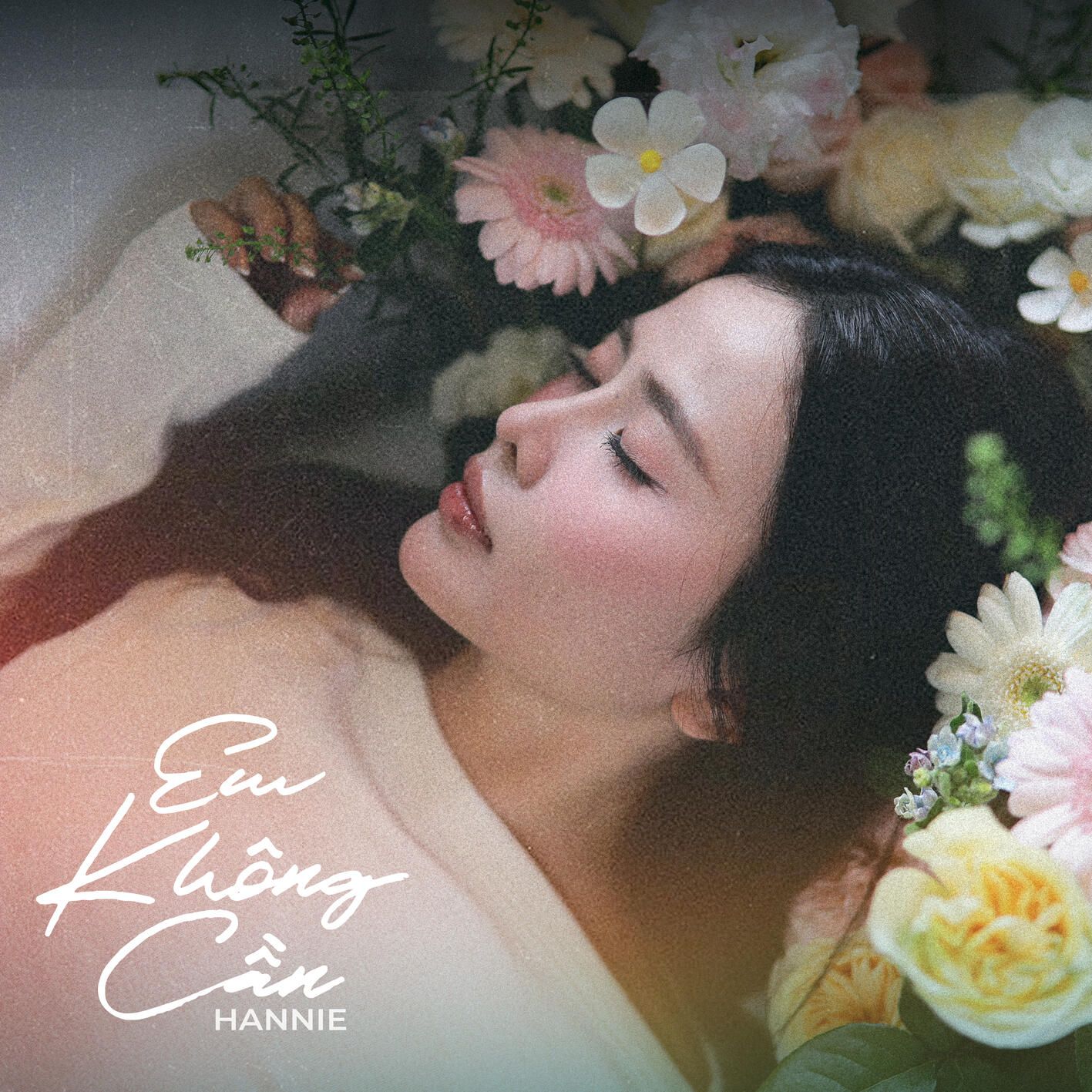 em khong can - hannie