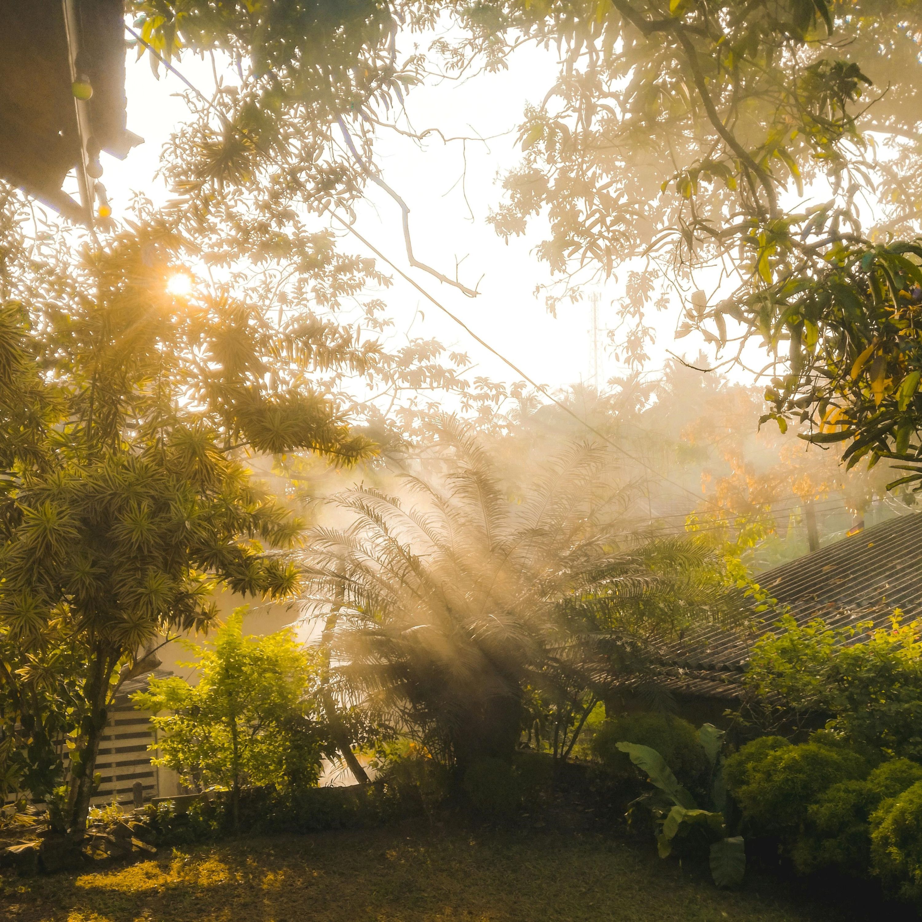 마음이 흐르는 길 - mellow