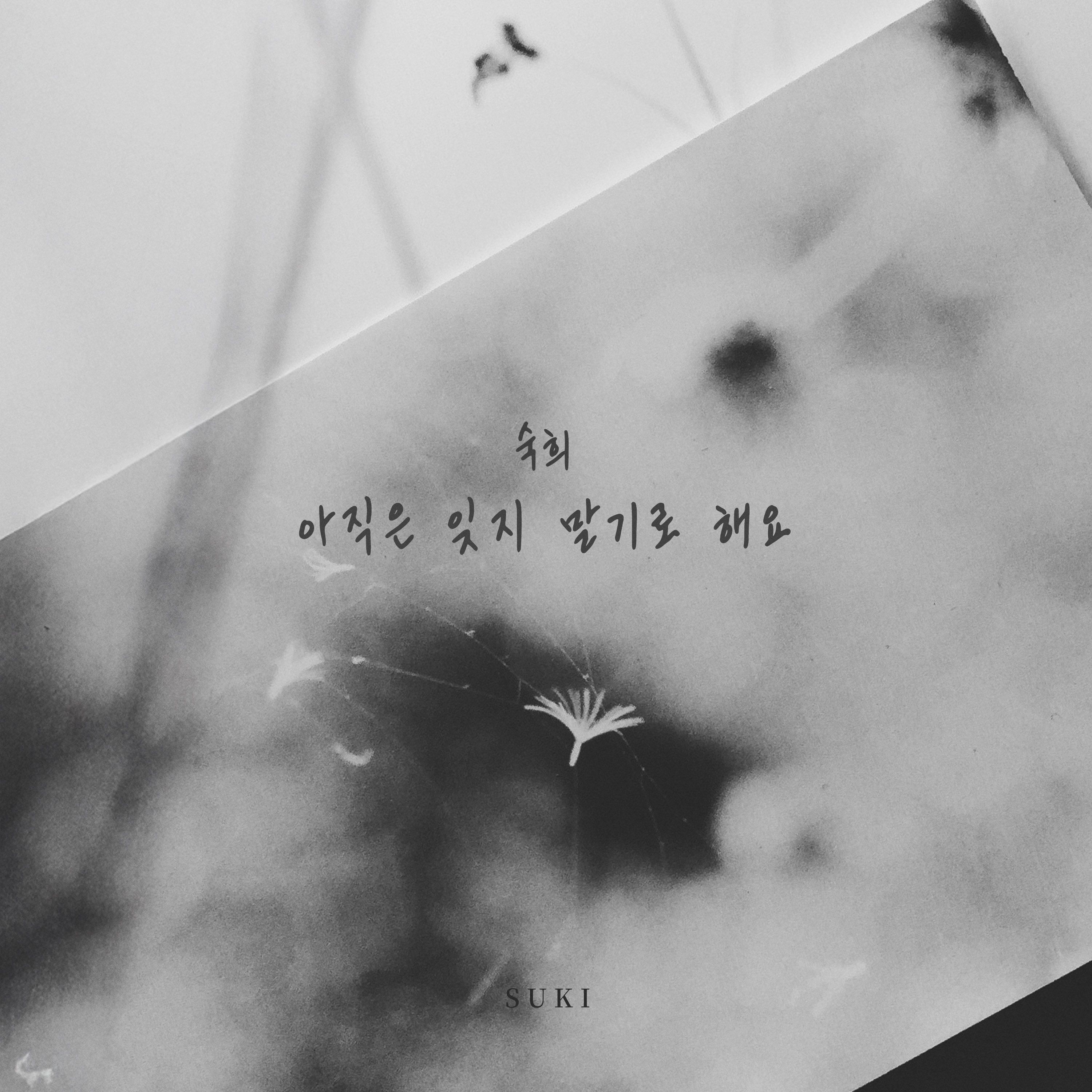 let's not forget (inst.) - suki