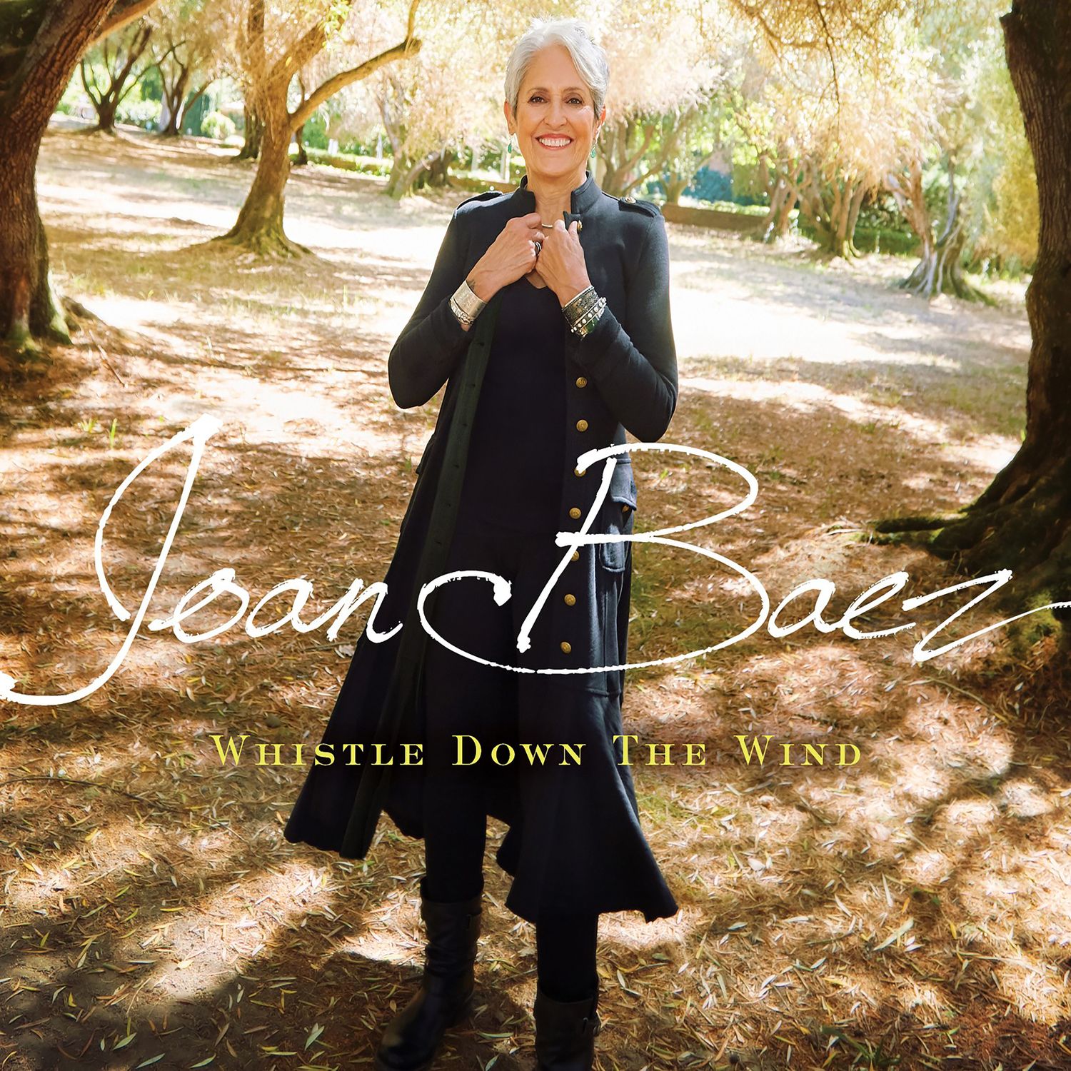whistle down the wind - joan baez