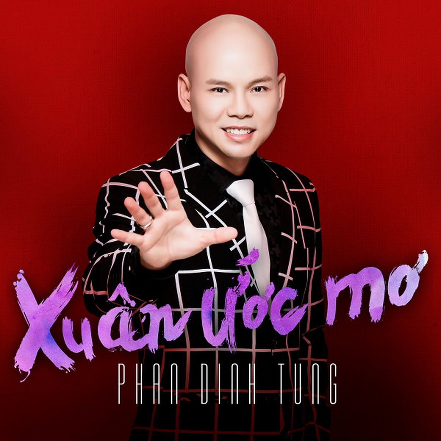 thi tham mua xuan - phan dinh tung