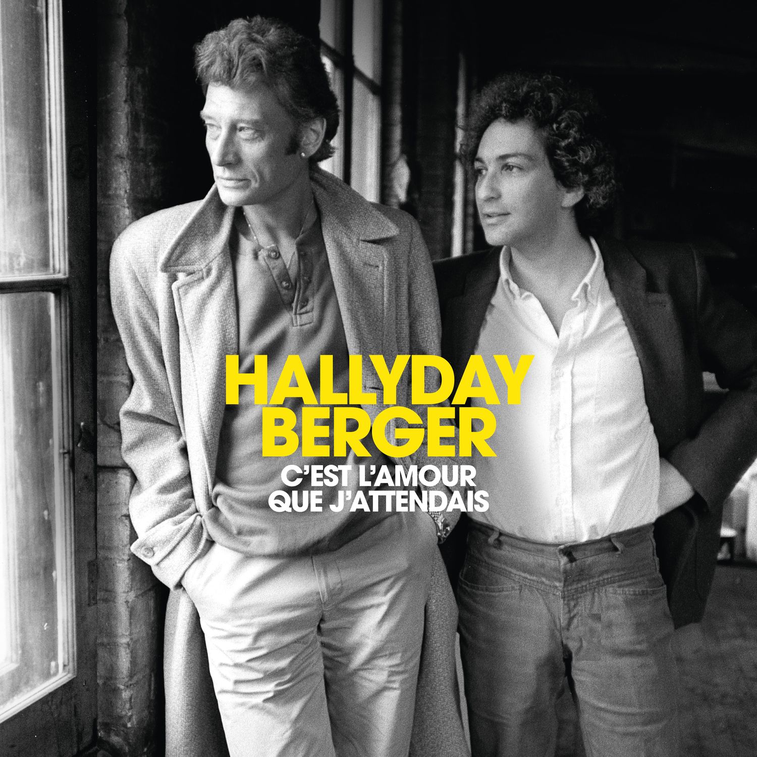 c'est l'amour que j'attendais - johnny hallyday, michel berger