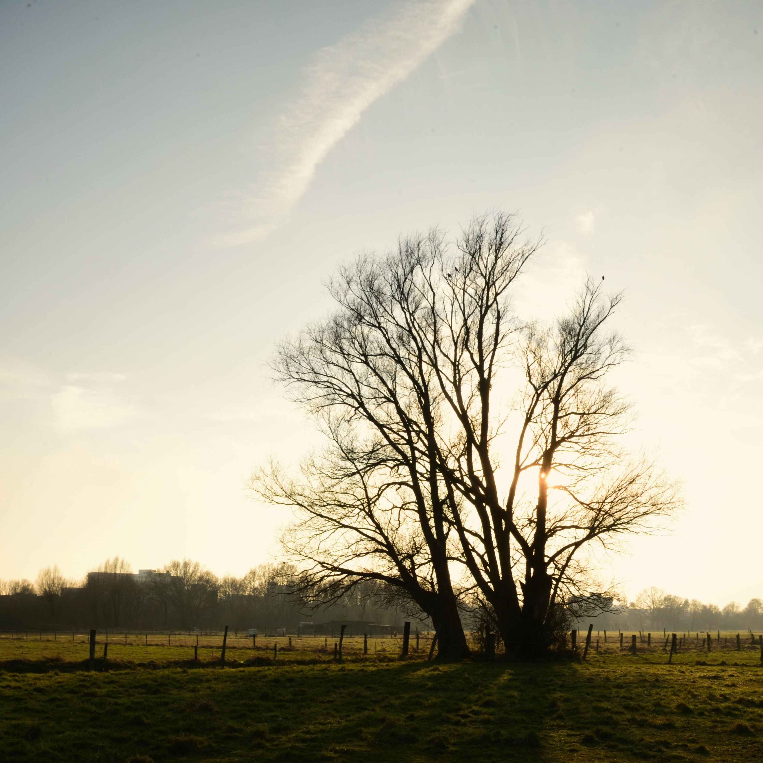 a heart letting go - mellow