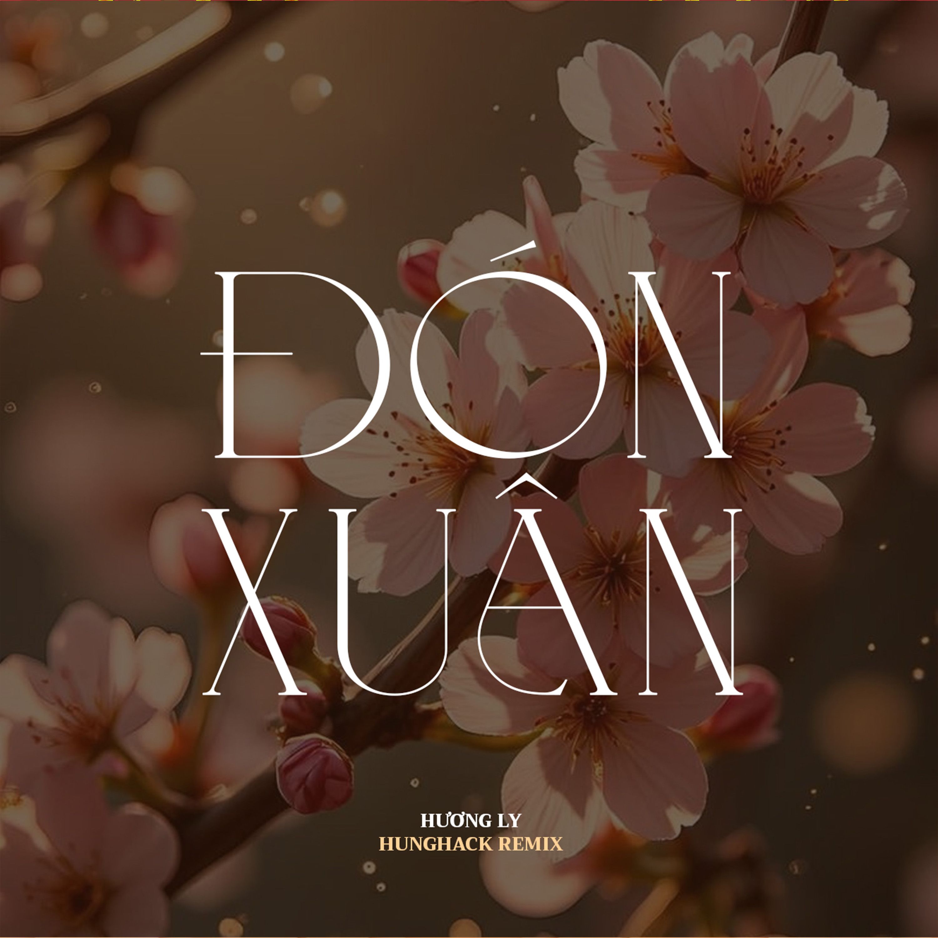don xuan (hung hack remix) [2023 version] - huong ly