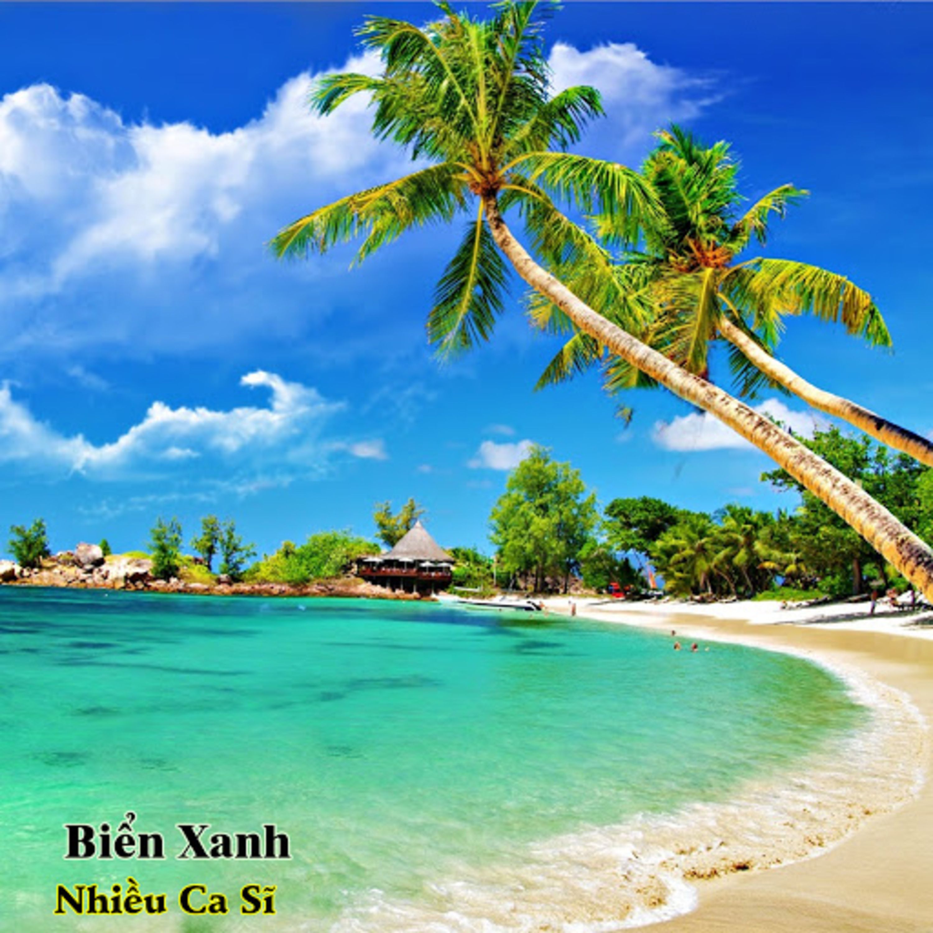 dong song tuoi tho - ngoc trinh